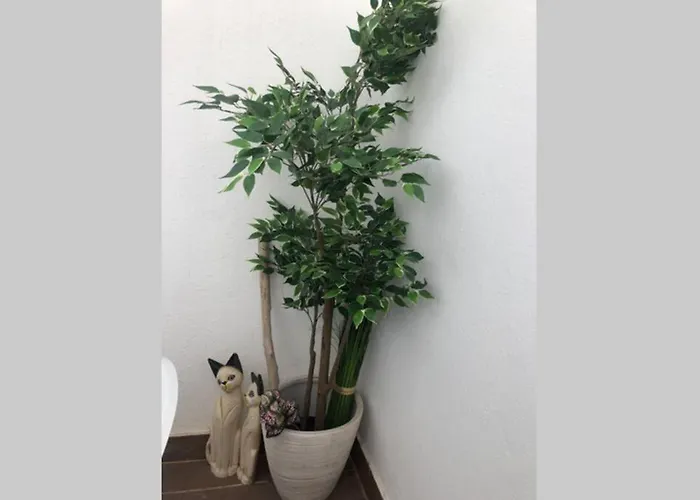 Graca 4 Διαμέρισμα Lisboa