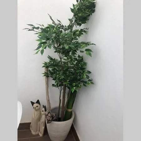 Graca 4 Lägenhet Lisboa